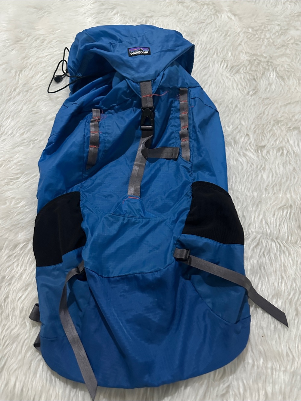 Patagonia Blue Men's Daypack with Black Reinforced Panels